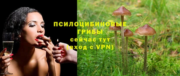 кокаин премиум Алексин