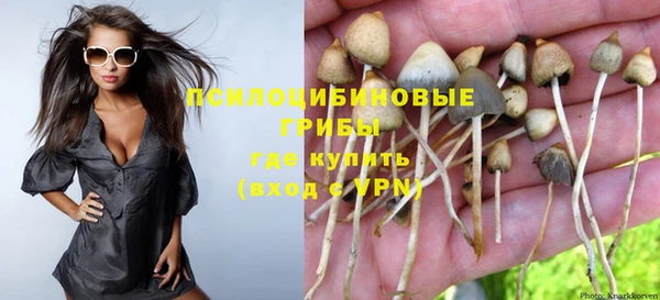 хмурый Алзамай