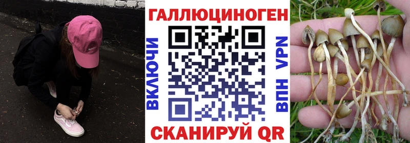 купить наркоту  Сосновоборск  OMG зеркало  Галлюциногенные грибы прущие грибы 